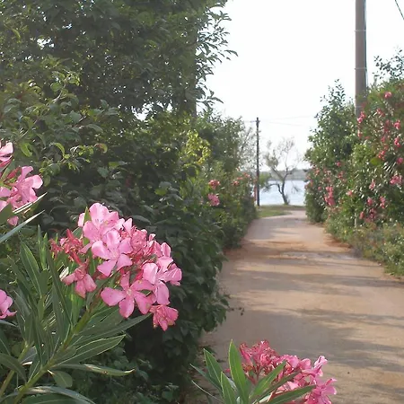 Holiday House Zaton * Zaton (Zadar)